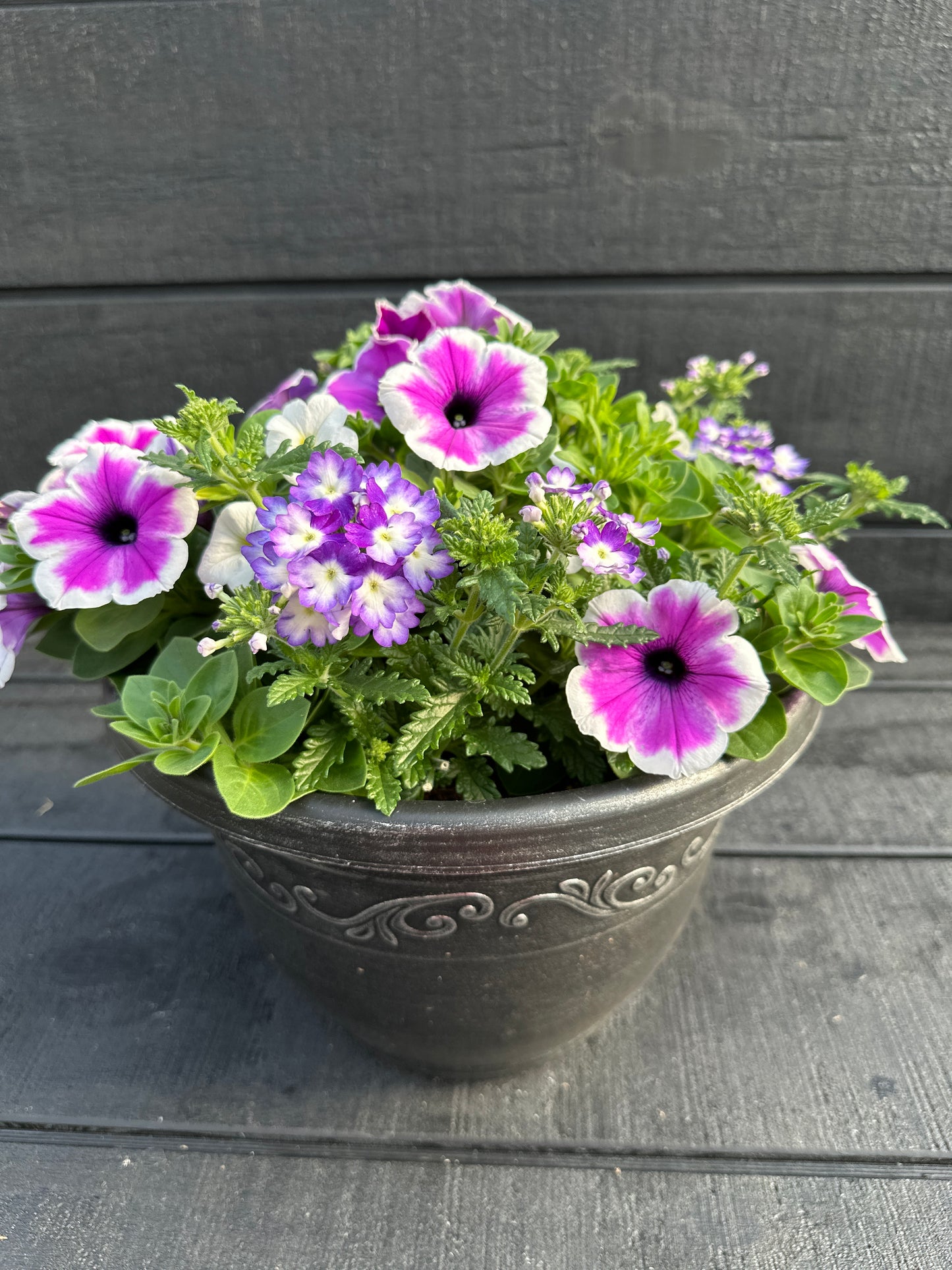 COMBO #6 - 10'' POT