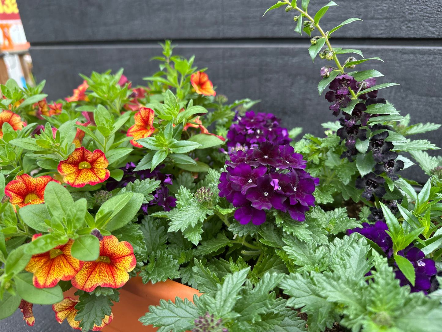 COMBO #10 - 30'' WINDOW BOX