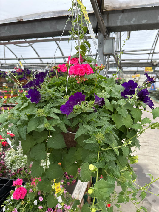 BASKET #8 - 16" HANGING BASKET