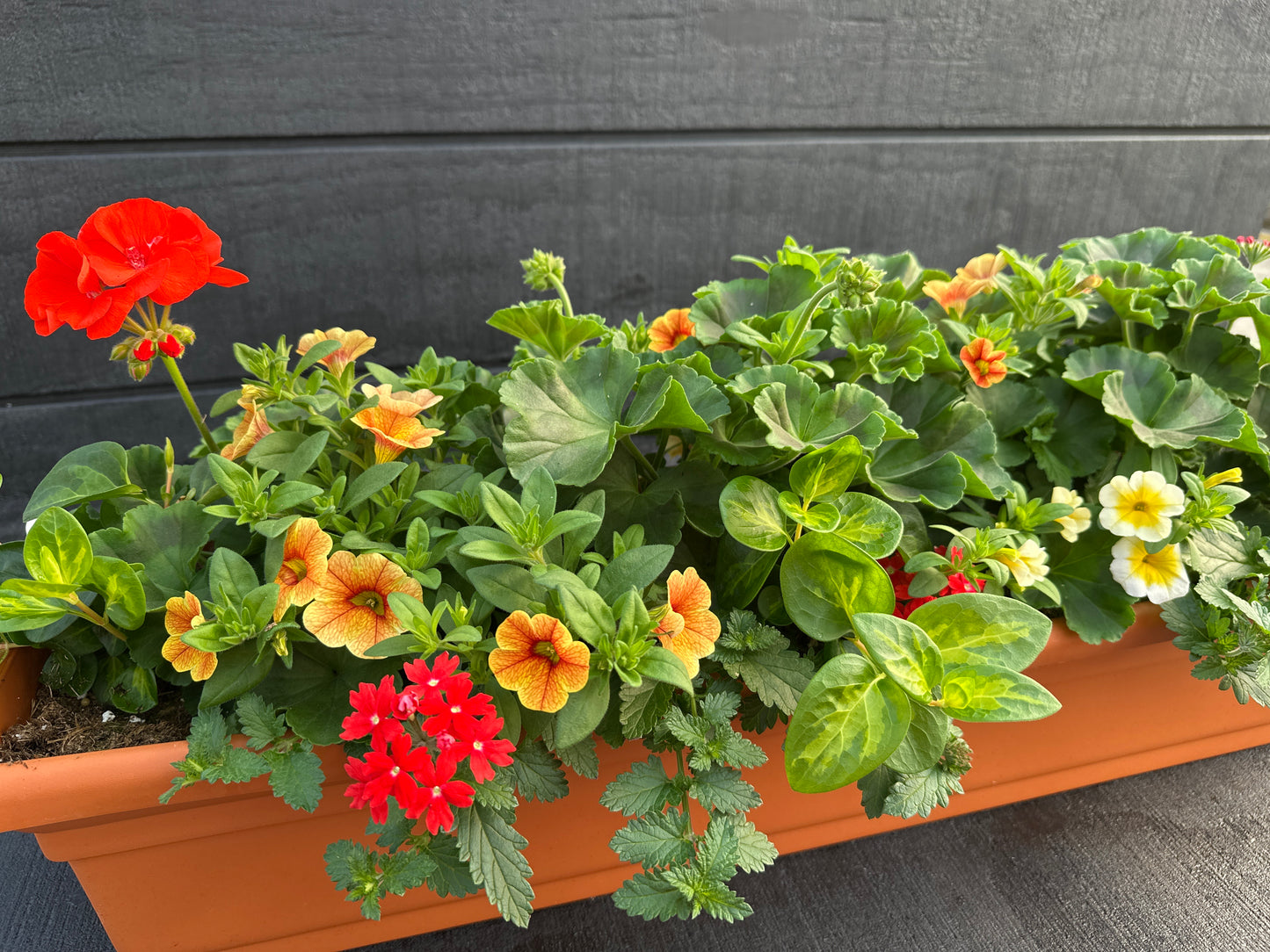 COMBO #2 - 30" WINDOW BOX