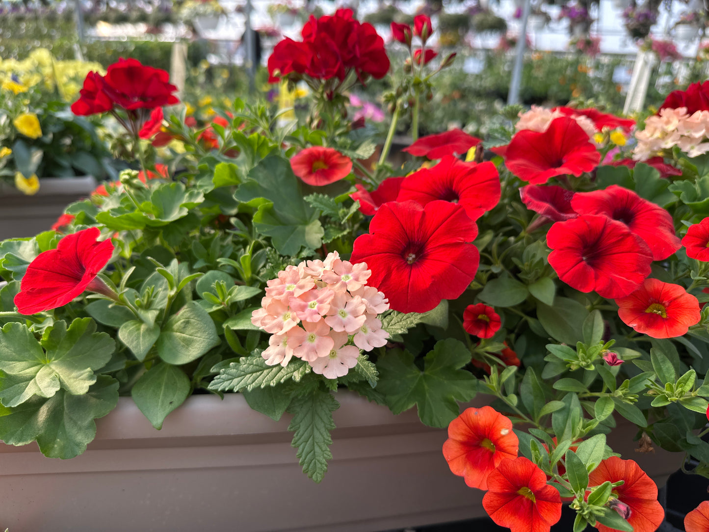 COMBO #28 - 24" WINDOW BOX