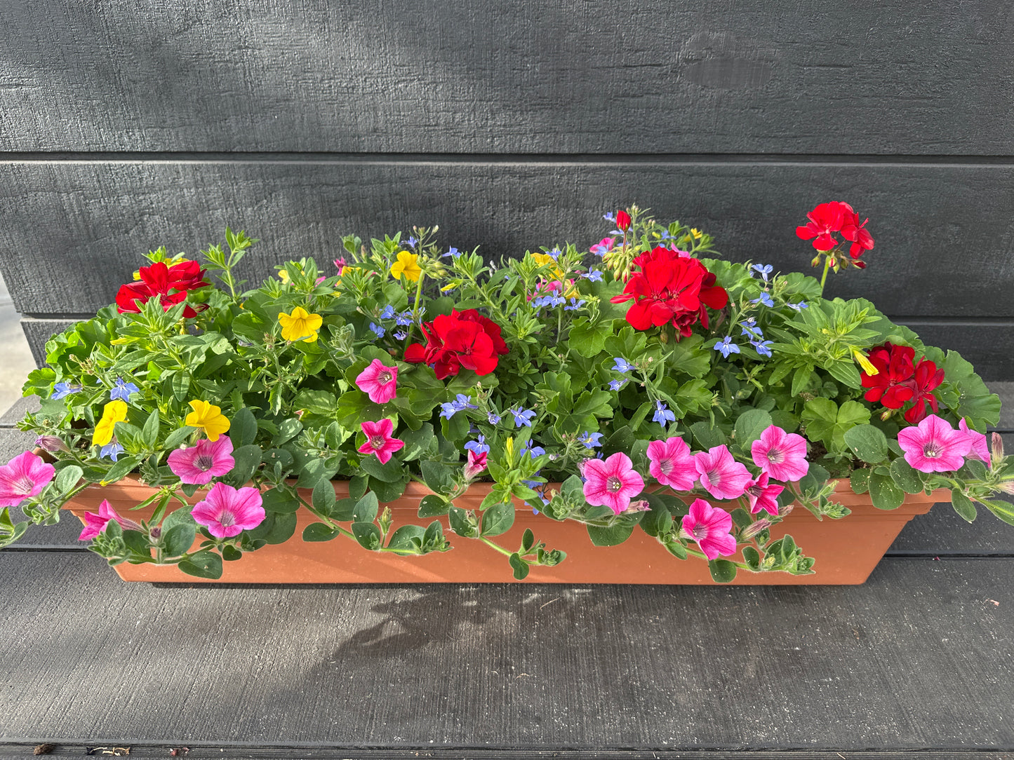 COMBO #5 - 30'' WINDOW BOX