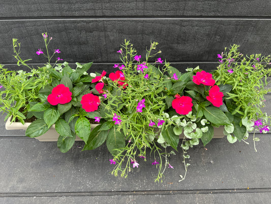 COMBO #8 - 30'' WINDOW BOX