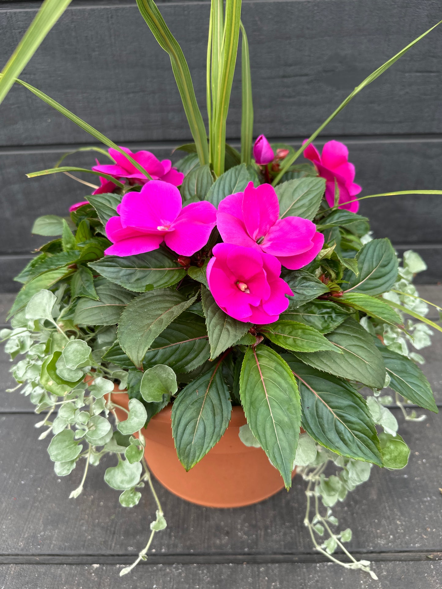 COMBO #71 - 12'' POT