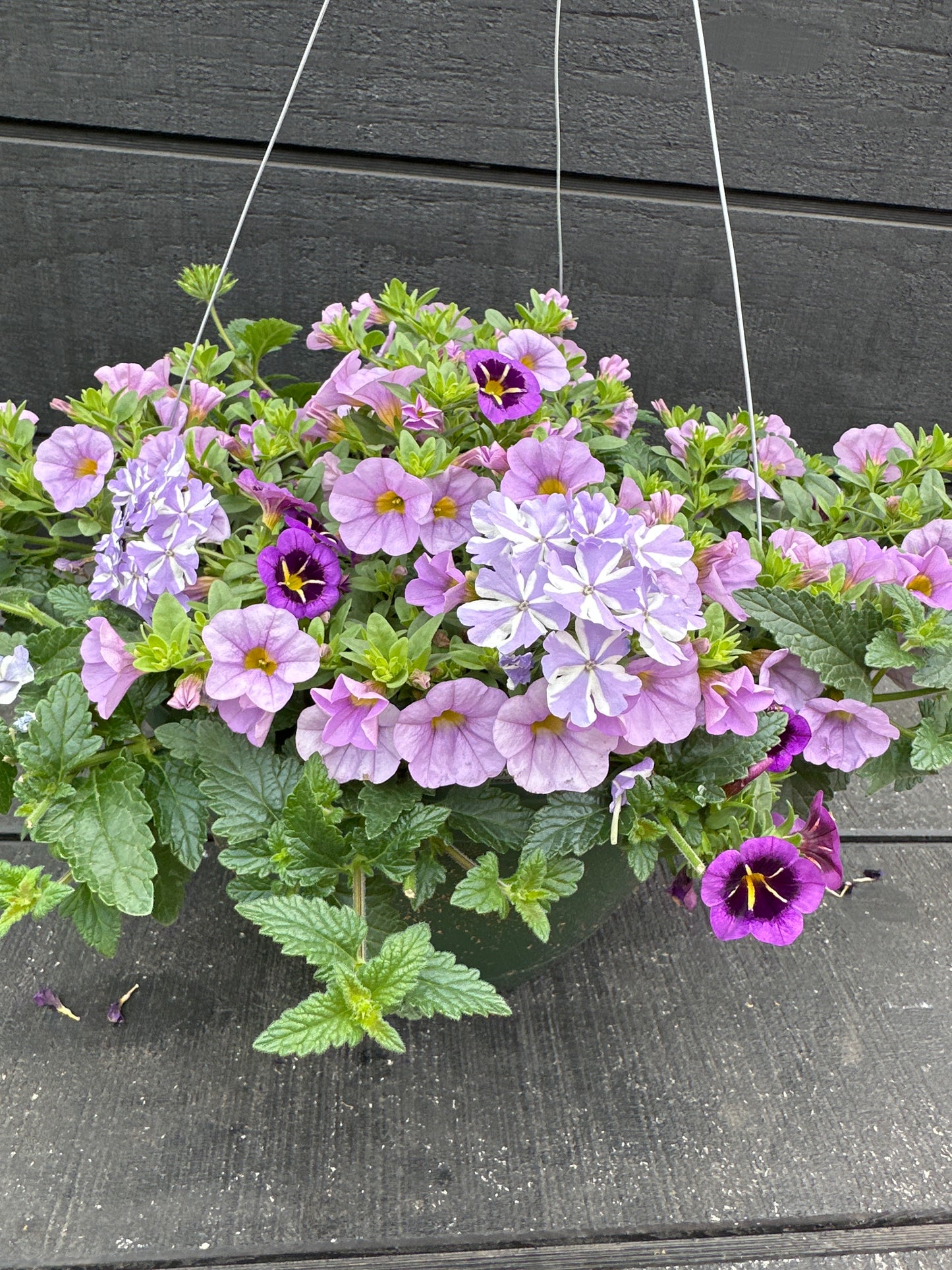 BASKET #23 - 10'' HANGING BASKET