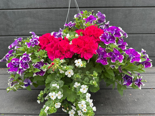 BASKET #68 - 12'' HANGING BASKET