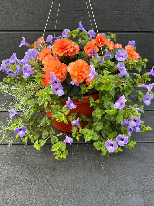 BASKET #7 - 12" HANGING BASKET