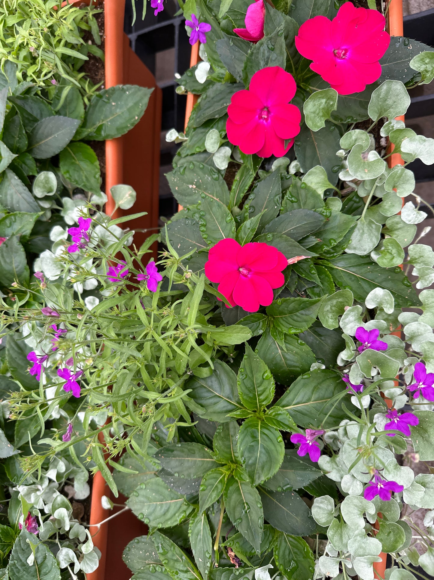 COMBO #8 - 30'' WINDOW BOX