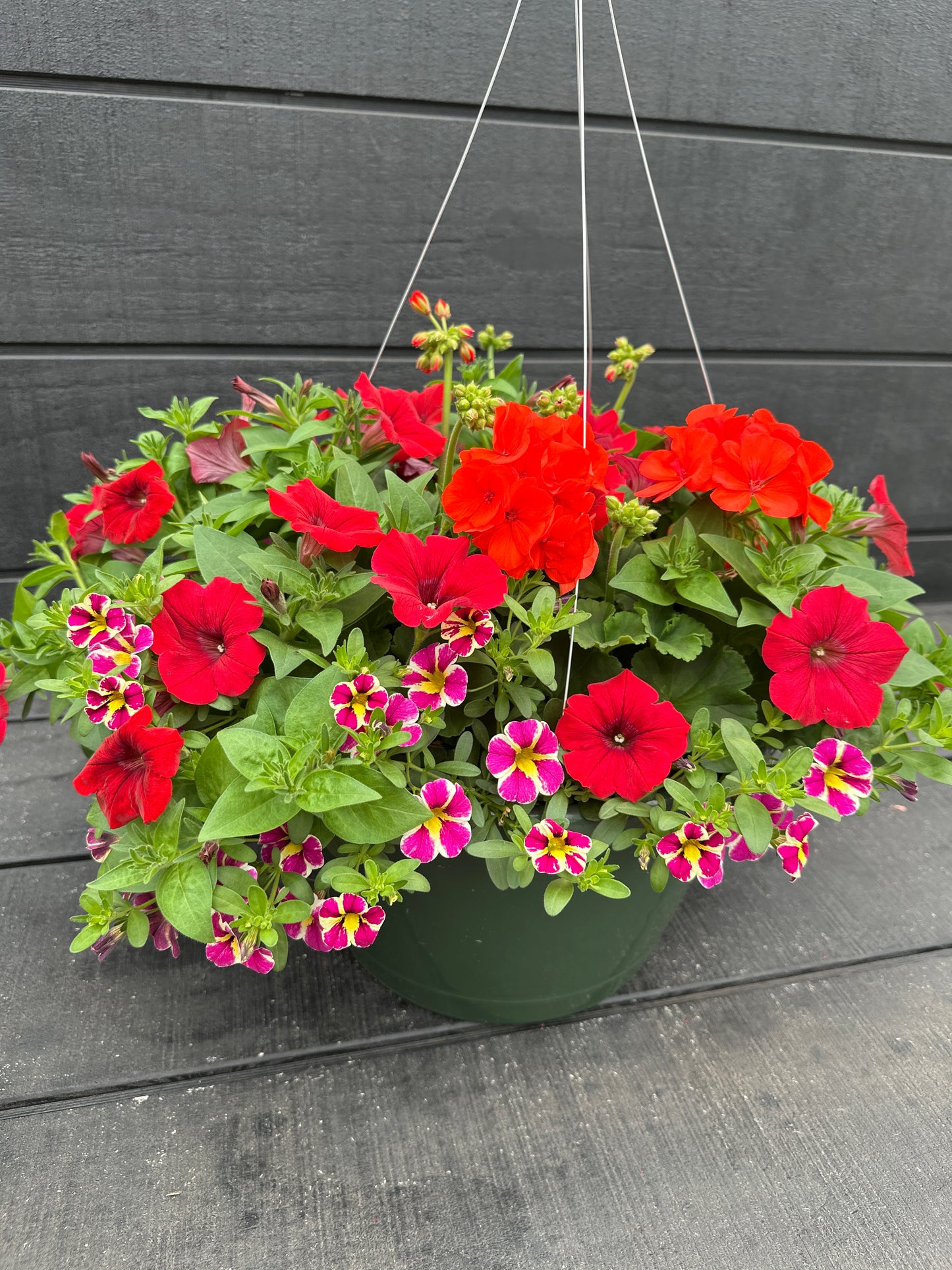 BASKET #27 - 12'' HANGING BASKET