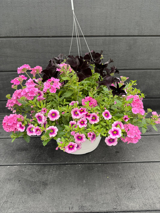 BASKET #49 - 12" HANGING BASKET