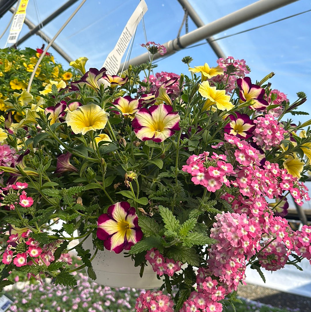 BASKET #57 - 12" HANGING BASKET