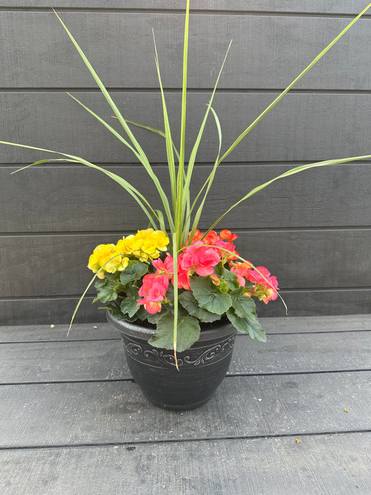 COMBO #35 - 10" POT