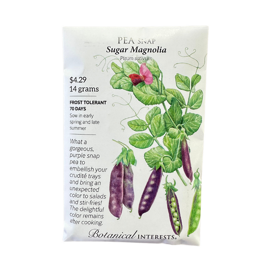 Pea Snap (purple) Sugar Magnolia