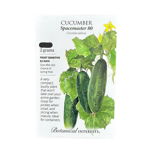 Cucumber Spacemaster