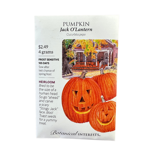 Pumpkin Jack O'Lantern