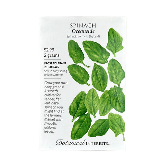 Spinach Oceanside hybrid