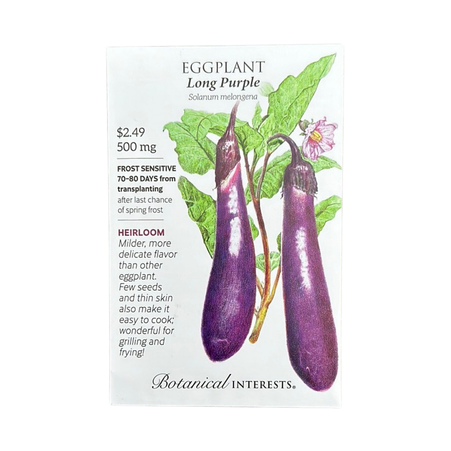 Eggplant Long Purple