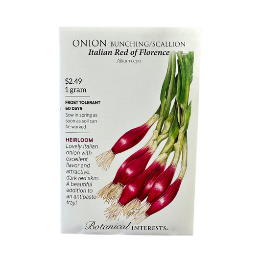 Onion Bunching (red) Italian