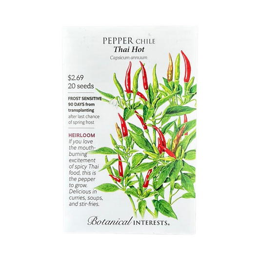 Pepper Chile Thai Hot