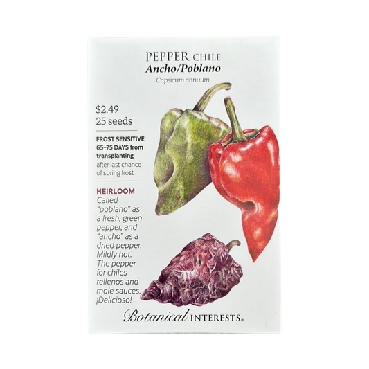 Pepper Chile Ancho / Poblano