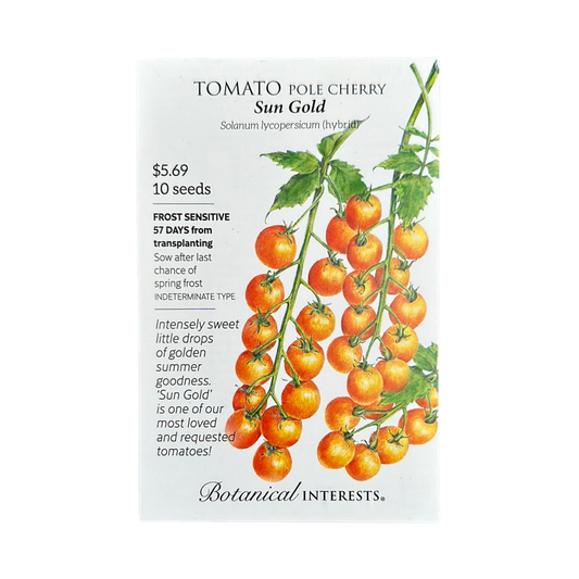Tomato Cherry Sun Gold hybrid