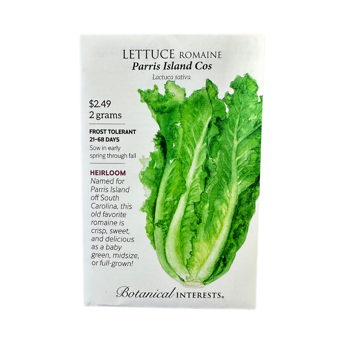 Lettuce Romaine Parris Island