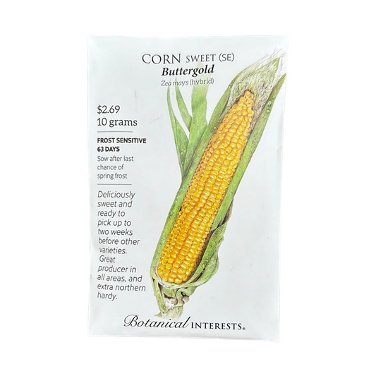 Corn Swt (yellow) Buttergold