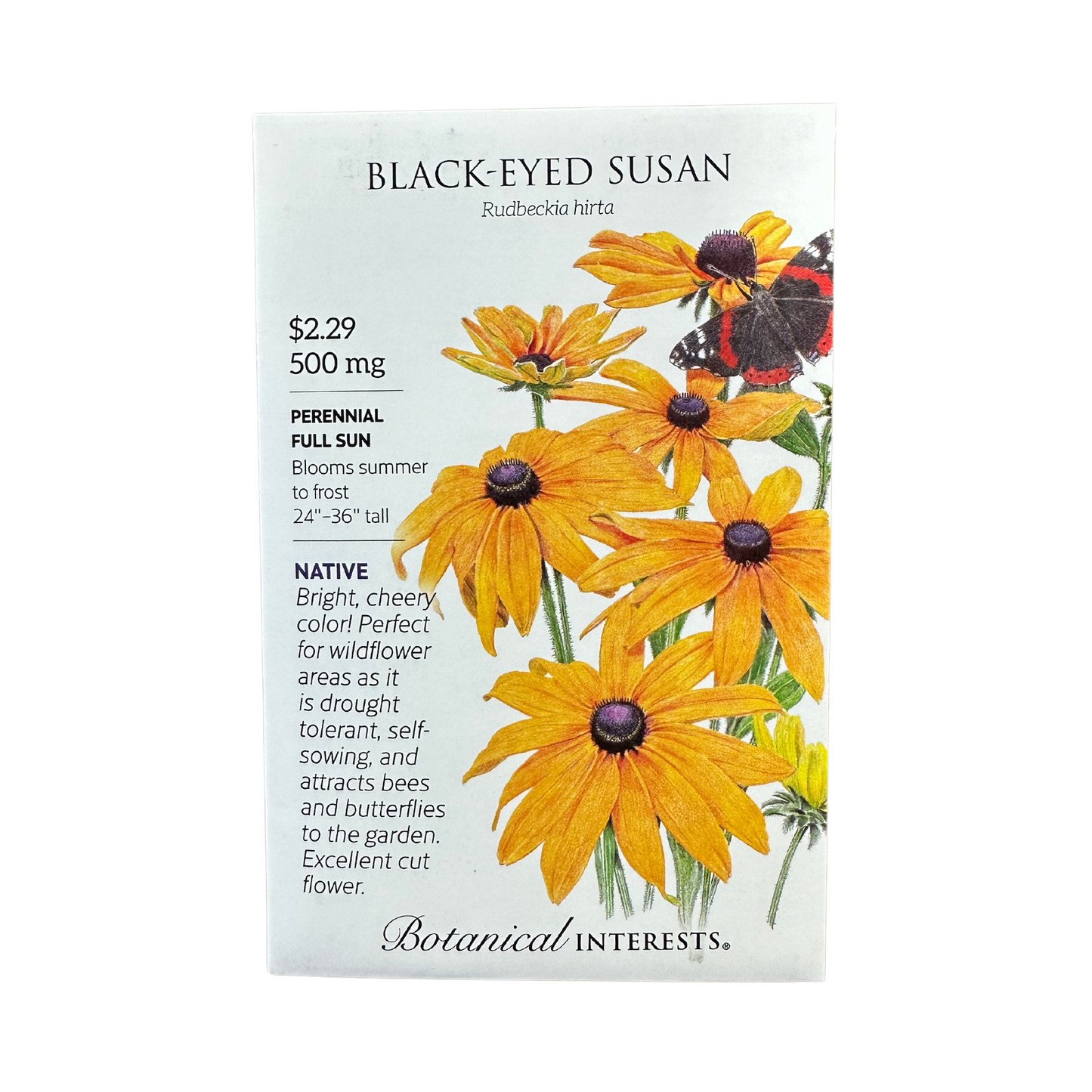 Black-Eyed Susan