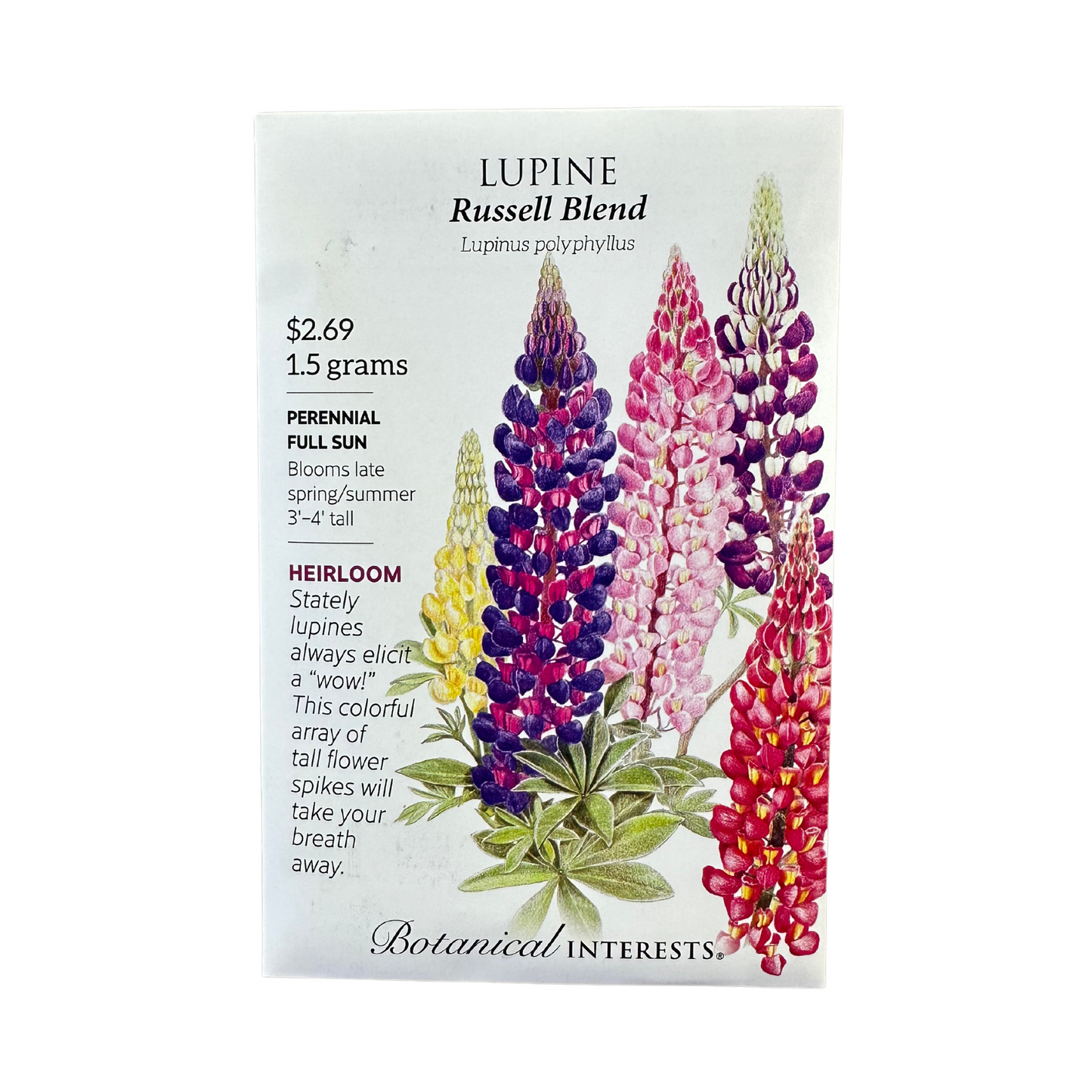 Lupine Russell Blend