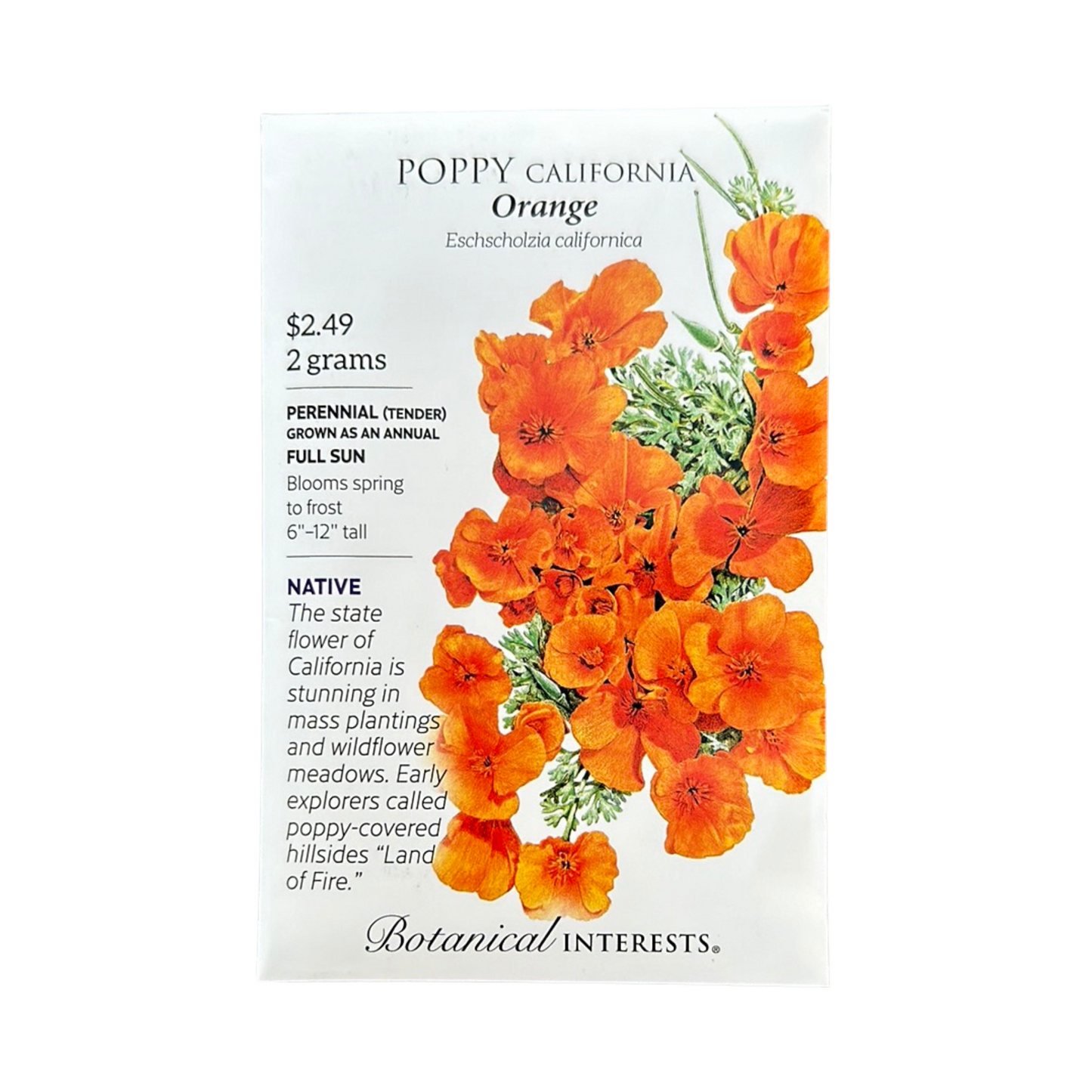 Poppy California Orange