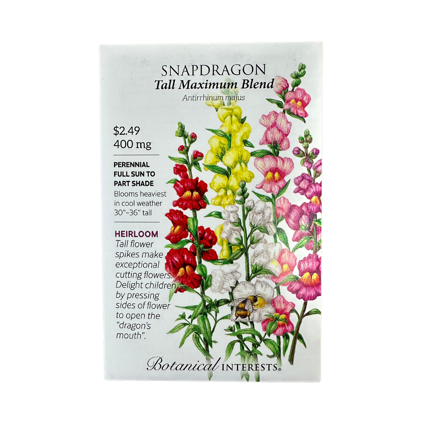 Snapdragon Tall Maximum