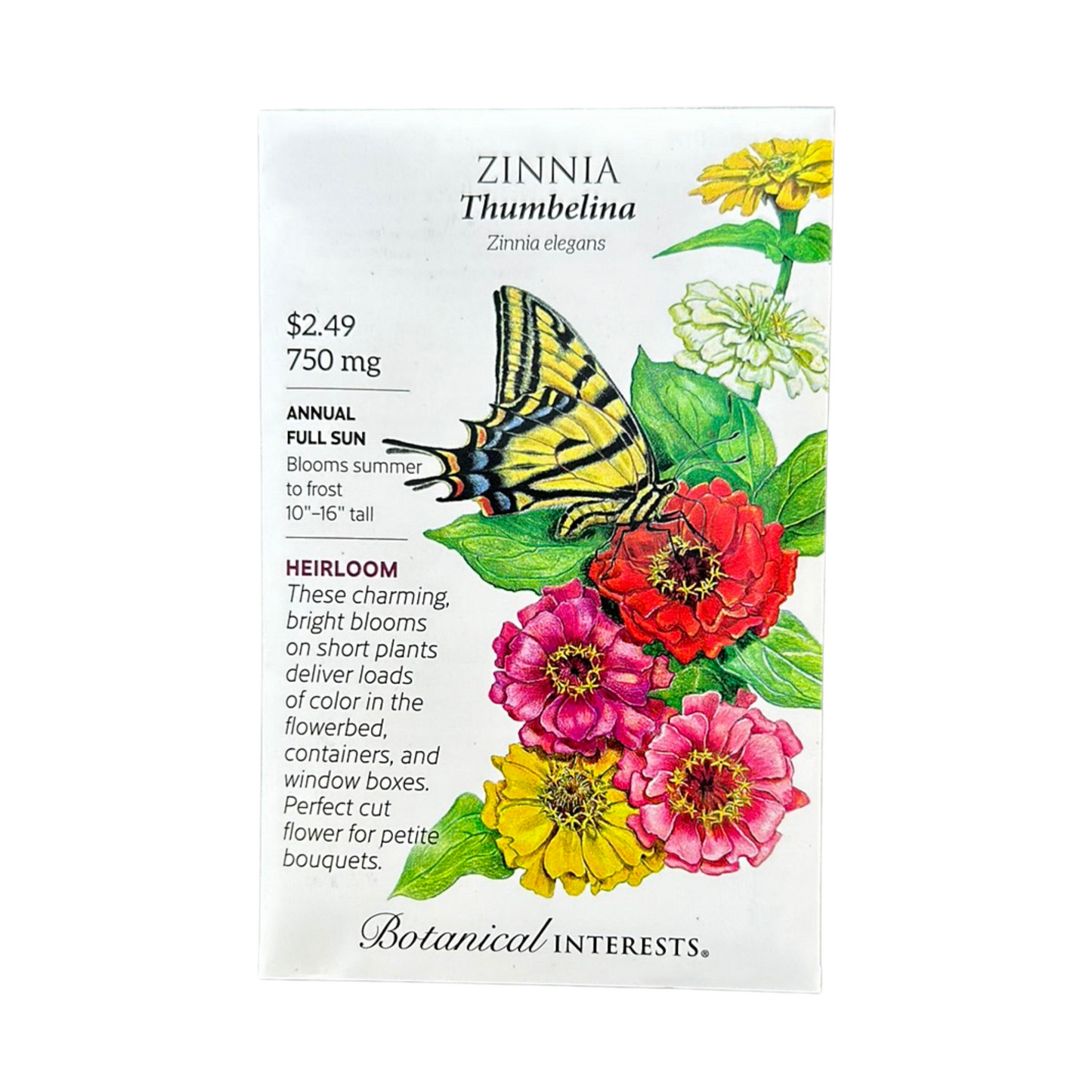 Zinnia Thumbelina