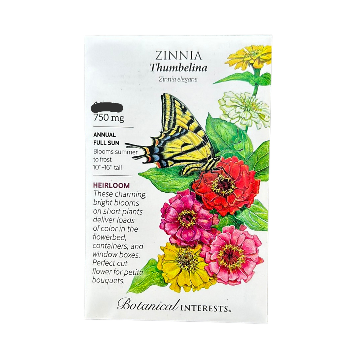 Zinnia Thumbelina