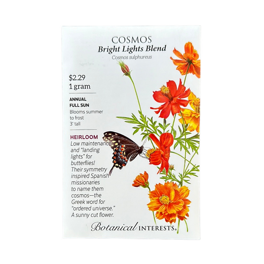 Cosmos Bright Lights Blend