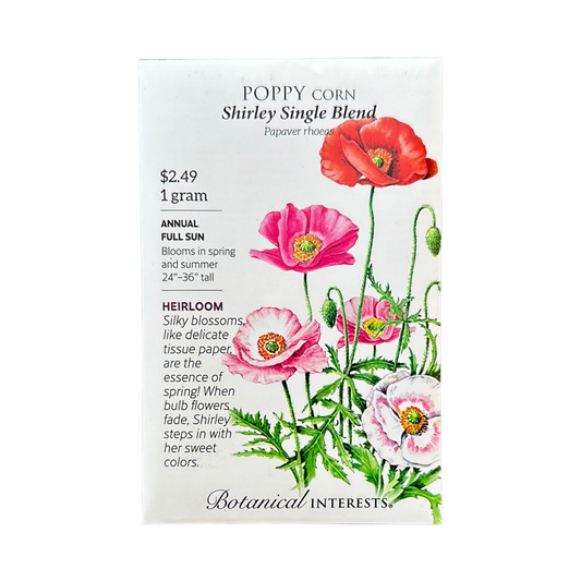 Poppy Corn Shirley Single Blend