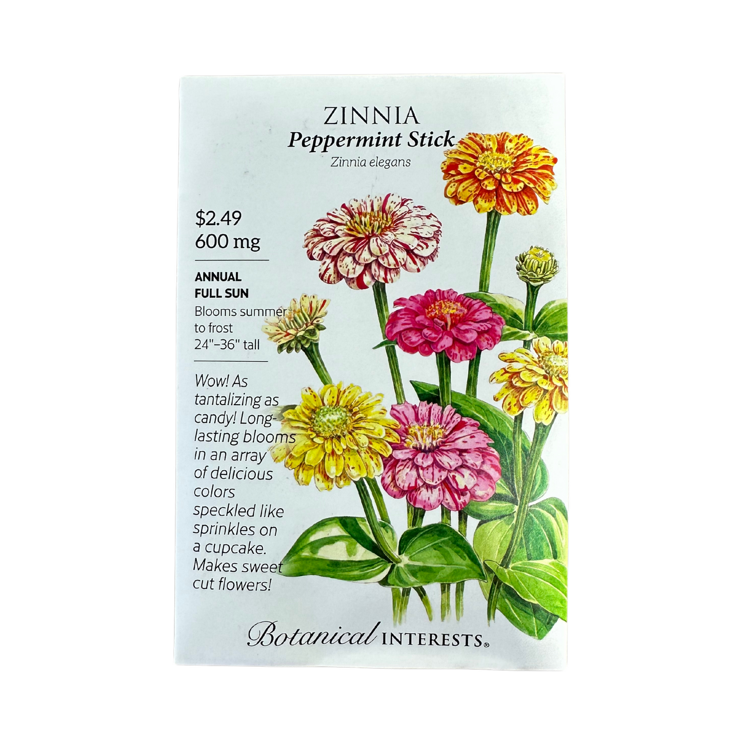 Zinnia Peppermint Stick