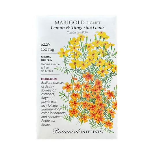 Marigold Signet Gem Lemon/Tangerine