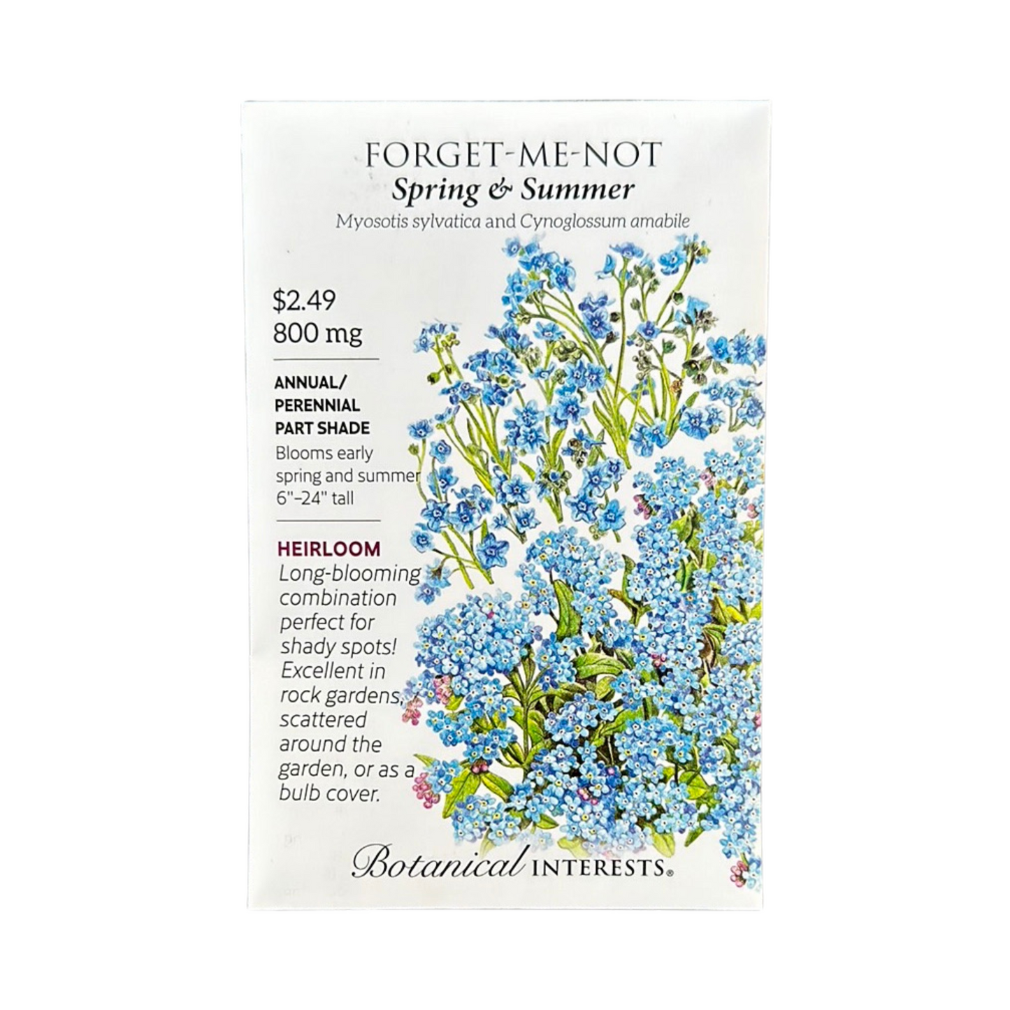 Forget-Me-Not Spring and Summer