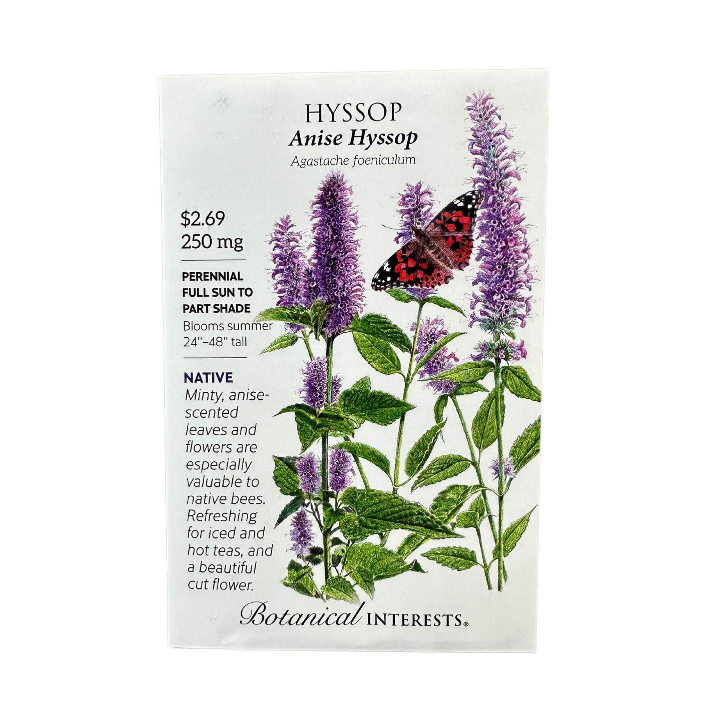 Hyssop Anise