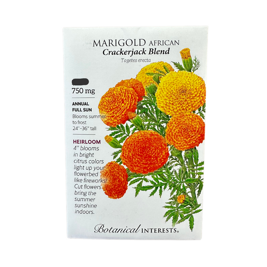 Marigold African Crackerjack