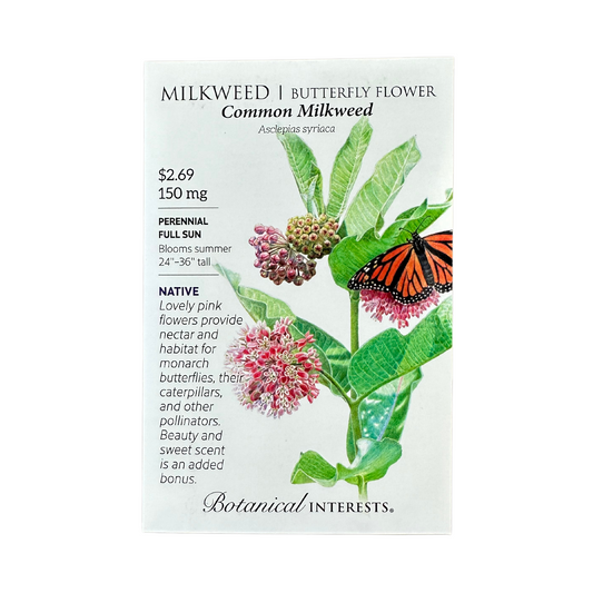 Milkweed Common