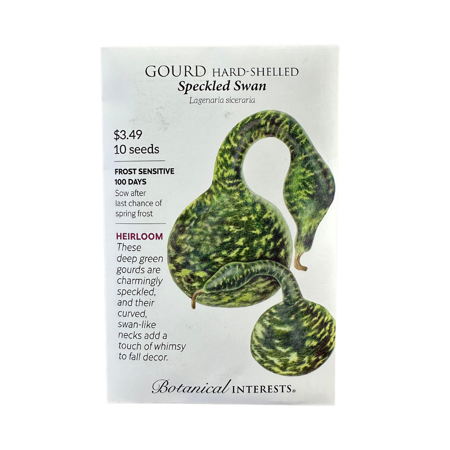 Gourd Speckled Swan