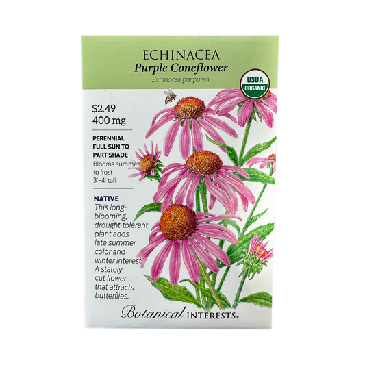 Echinacea Purple Coneflower Org