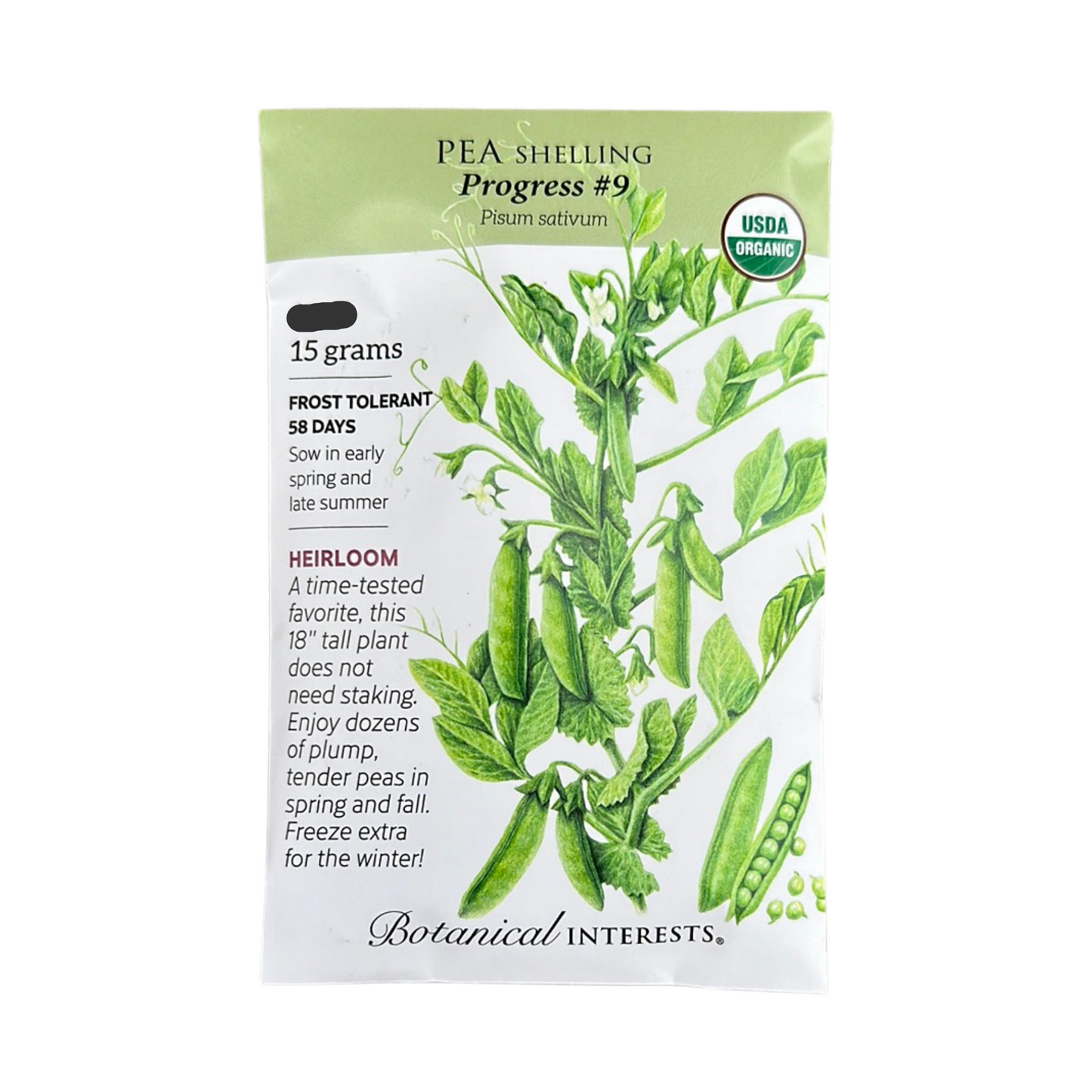 Pea Shelling Progress #9 Org