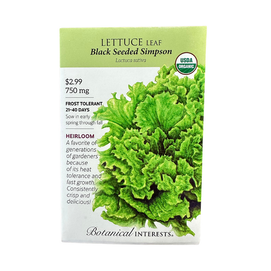 Lettuce Leaf Black Sd Simpson Org