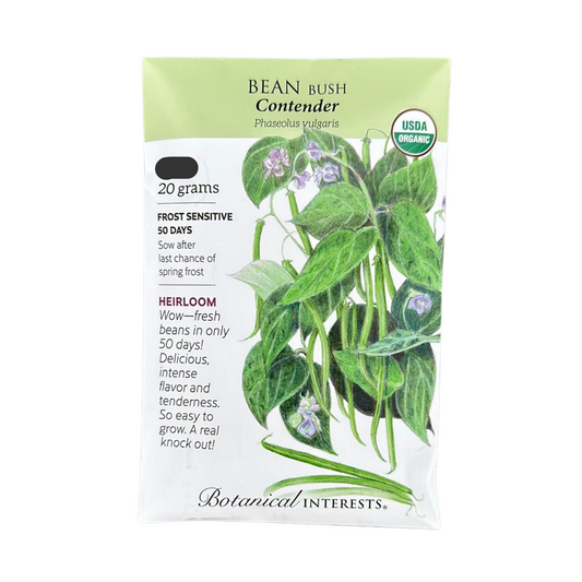 Bean Bush (green) Contender Org