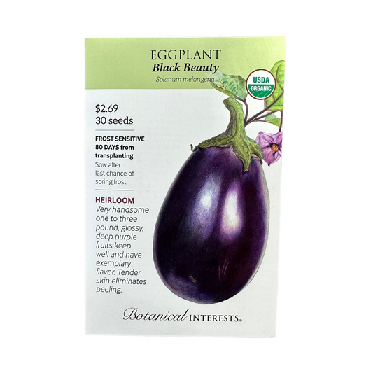 Eggplant Black Beauty Org