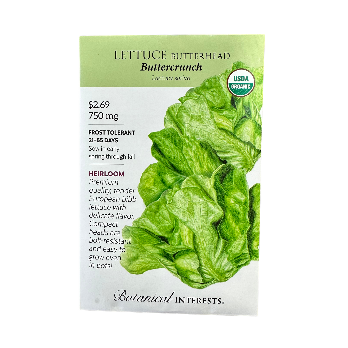 Lettuce Butterhead Buttrcrunch Org