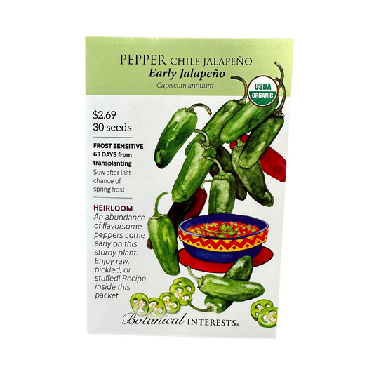 Pepper Chile Jalapeno Early