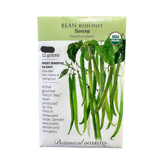 Bean Bush French Tavera Org